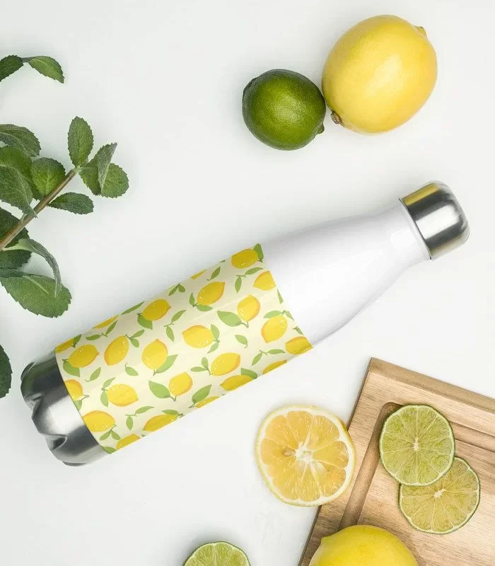 Stainless Steel Water Bottle